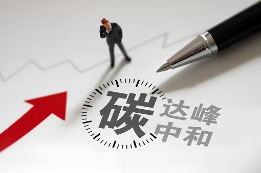 emc易倍观点丨《政府投资项目可行性研究报告编写通用大纲》详细解读（二）双碳部分